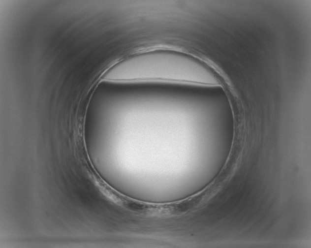 X0000080660793200612150734
