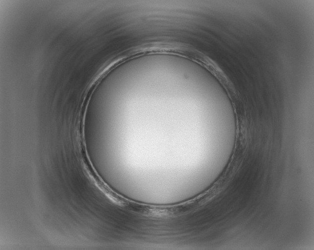 X0000080660794200612150734