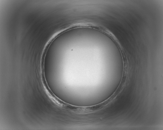 X0000080660795200612150734
