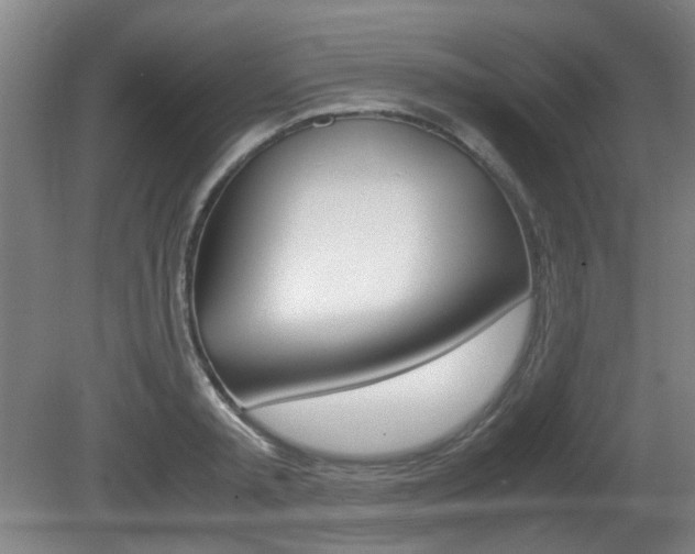 X0000080660797200612150734