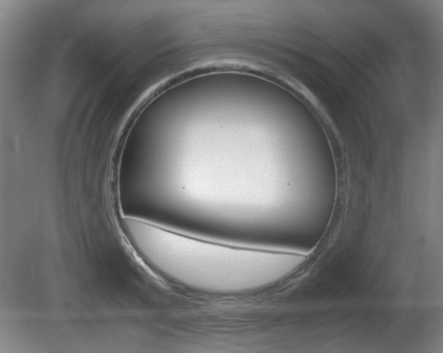X0000080660799200612150734