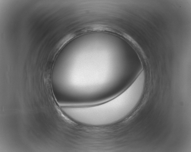 X0000080660801200612150734