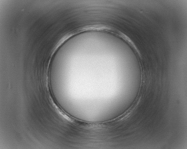 X0000080660802200612150734