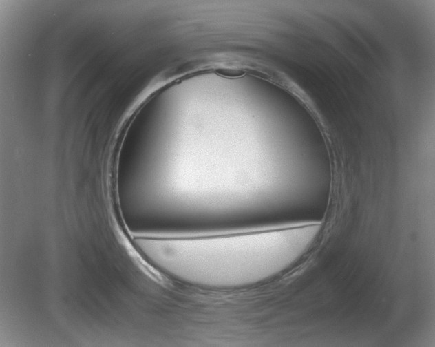 X0000080660803200612150734