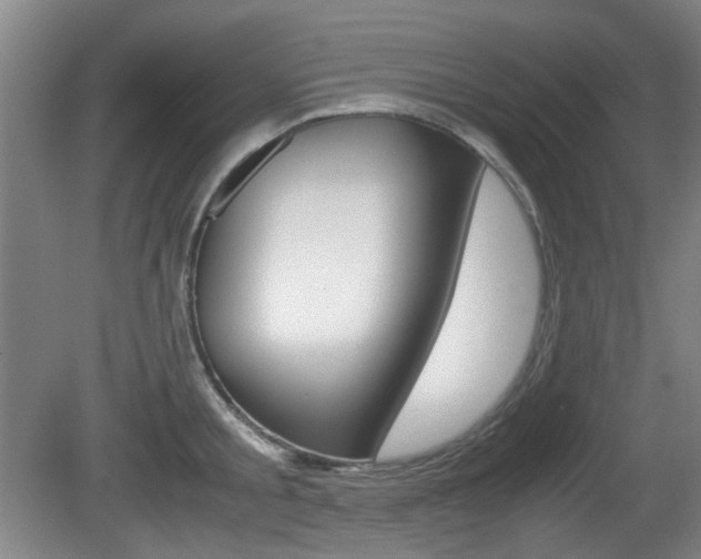 X0000080660805200612150734