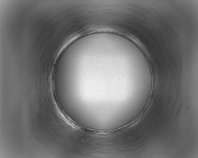 X0000080660806200612150734