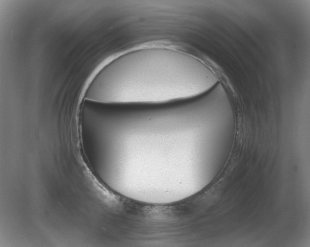 X0000080660808200612150734