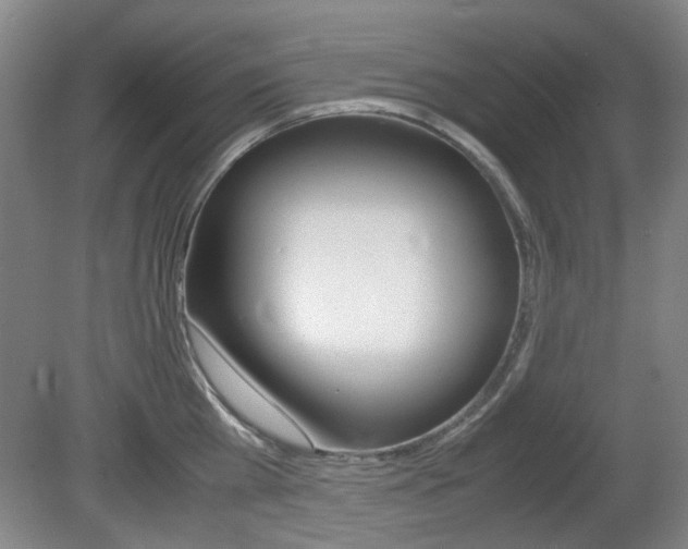 X0000080660809200612150733