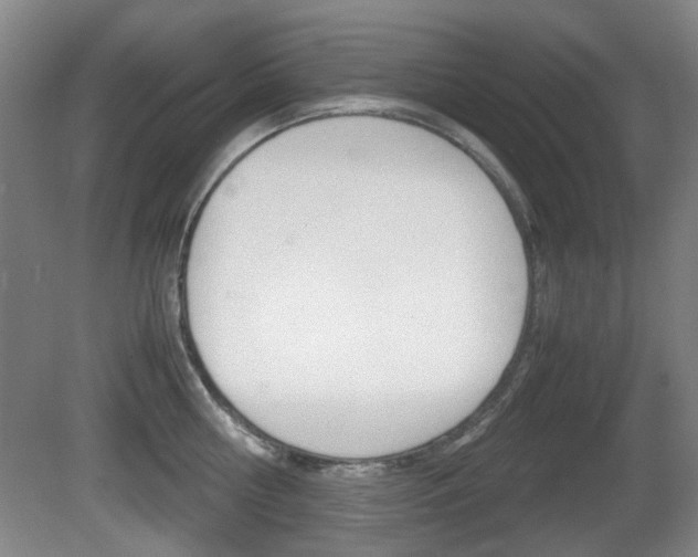 X0000080660810200612150733