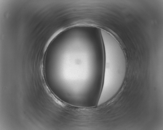 X0000080660812200612150733