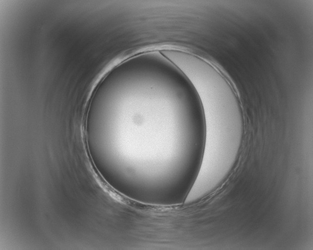 X0000080660813200612150733
