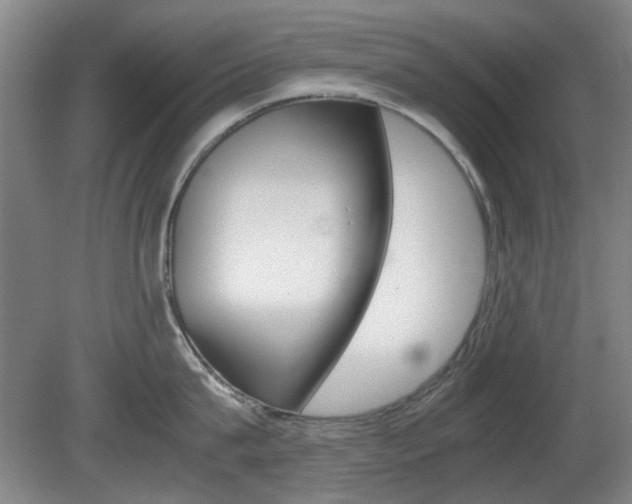 X0000080660815200612150733