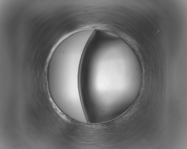 X0000080660816200612150733