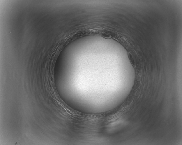X0000080660817200612150733
