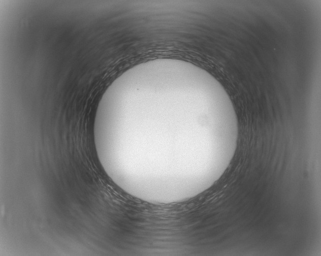 X0000080660818200612150733