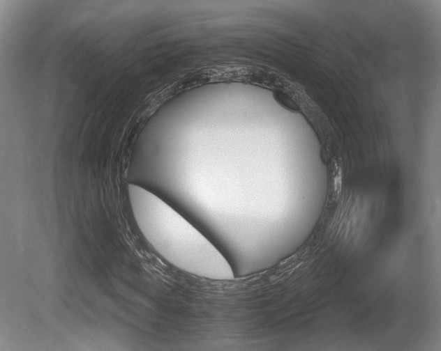 X0000080660819200612150733