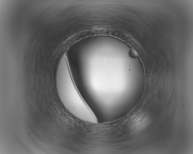 X0000080660821200612150733