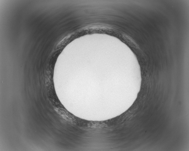 X0000080660824200612150733