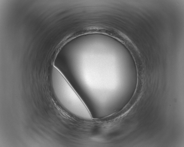 X0000080660825200612150733