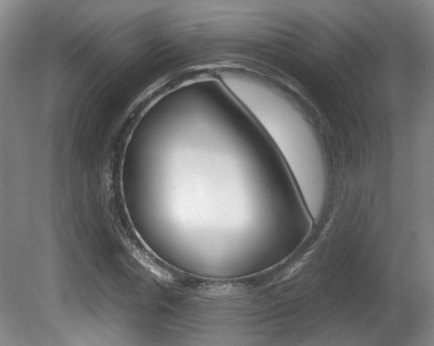X0000080660826200612150733