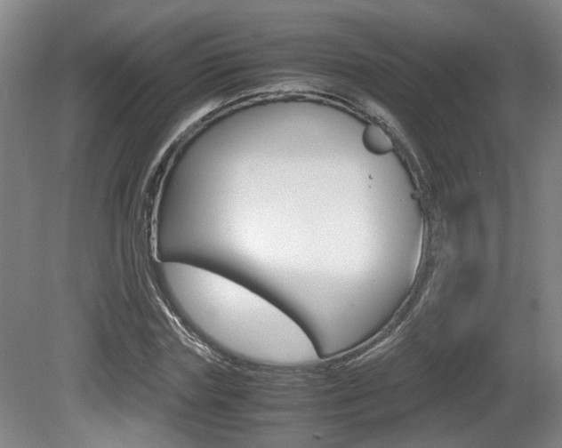 X0000080660827200612150733
