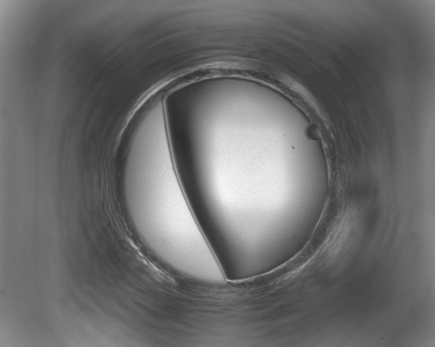 X0000080660829200612150733