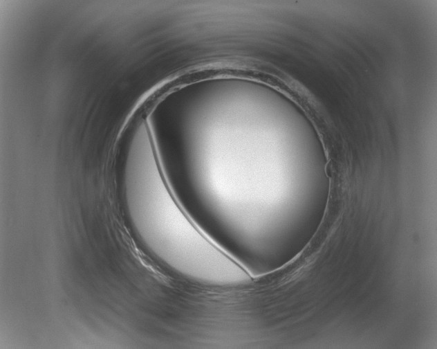 X0000080660830200612150733