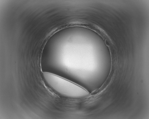 X0000080660833200612150733