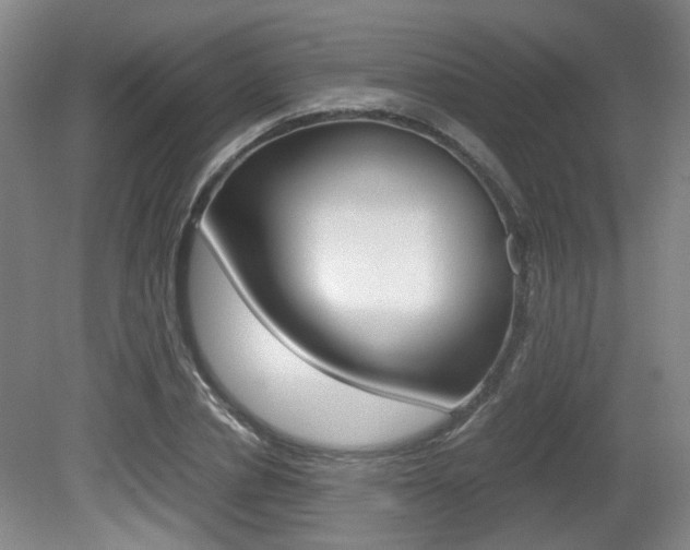 X0000080660834200612150733