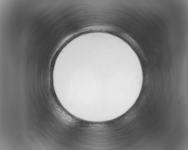 X0000080660836200612150733