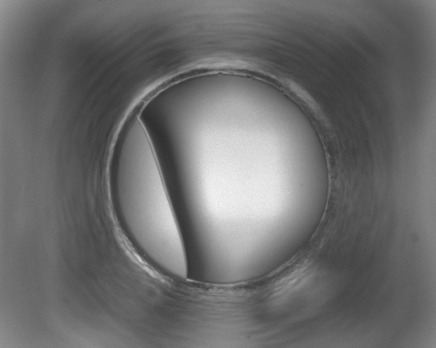 X0000080660840200612150733