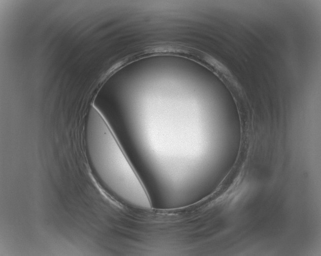 X0000080660841200612150733