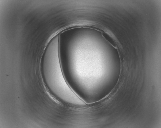 X0000080660842200612150733