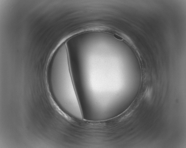 X0000080660843200612150733