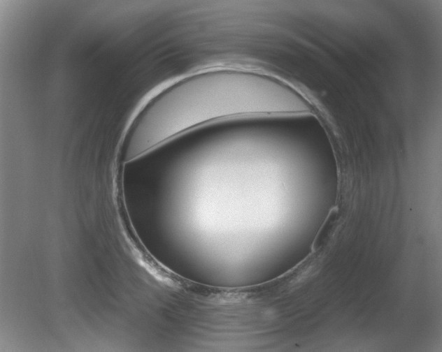 X0000080660846200612150733