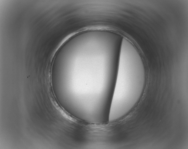 X0000080660852200612150733