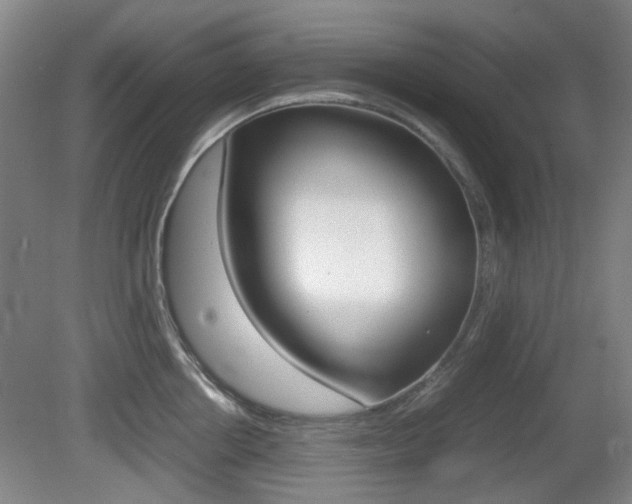 X0000080660858200612150733