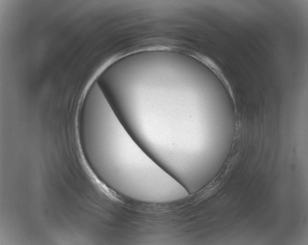 X0000080660859200612150733