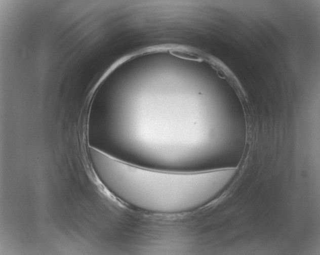 X0000080660860200612150733