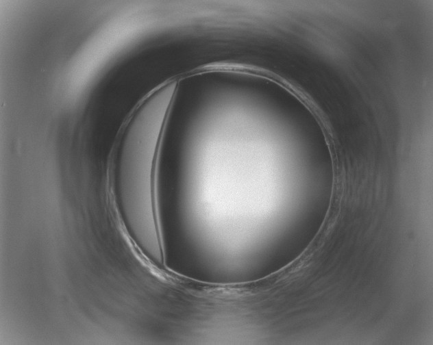 X0000080660862200612150733