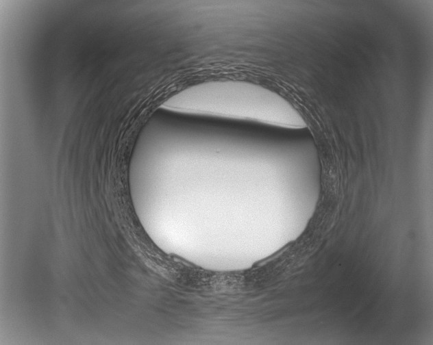 X0000080660865200612150733