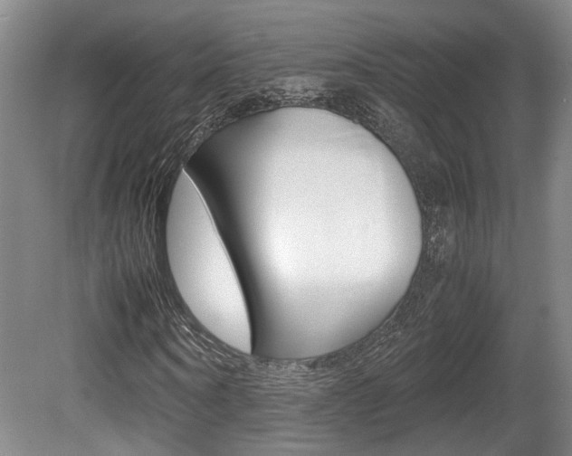 X0000080660866200612150733