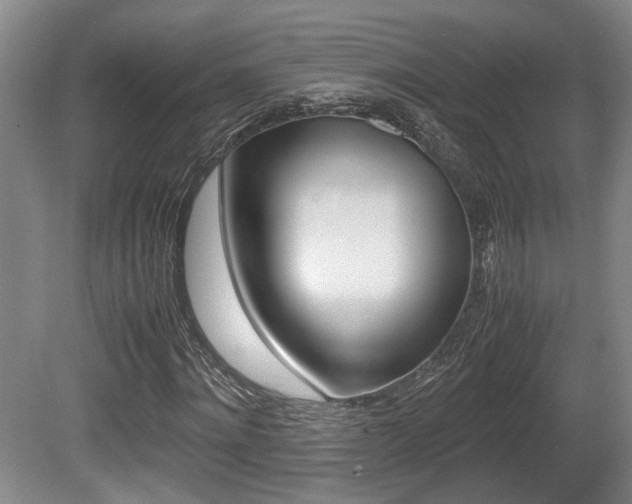 X0000080660868200612150733