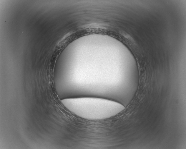 X0000080660870200612150732