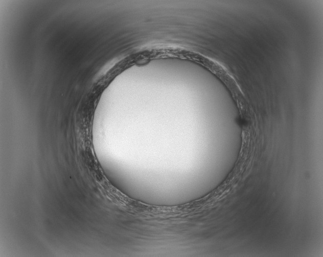 X0000080660871200612150732