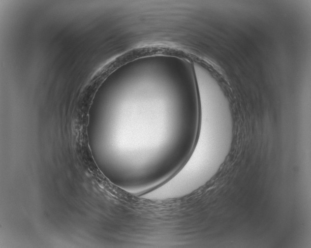 X0000080660872200612150732