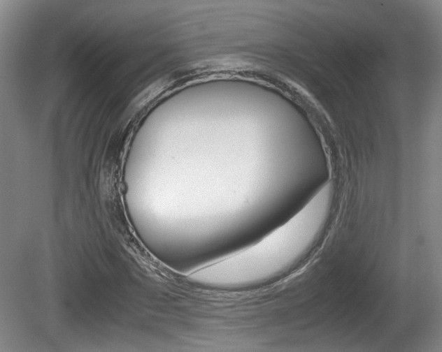 X0000080660873200612150732
