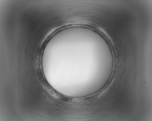 X0000080660875200612150732