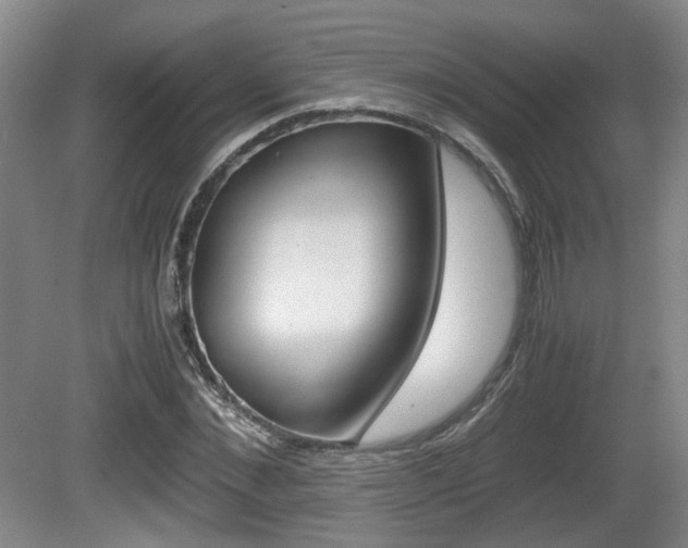 X0000080660876200612150732
