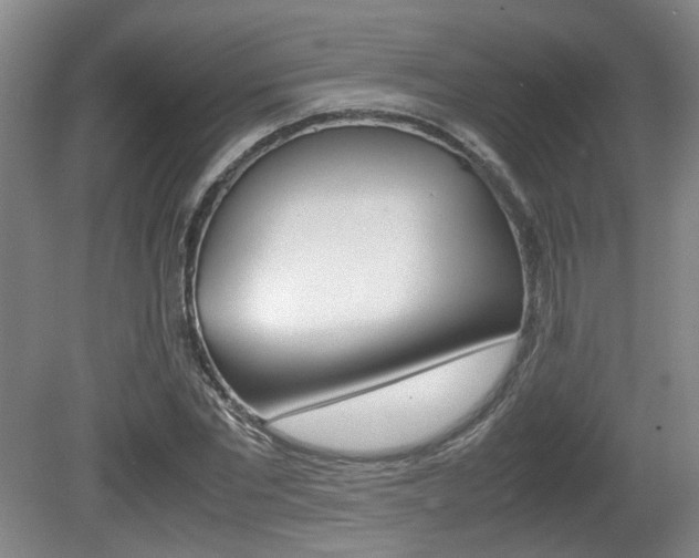 X0000080660877200612150732
